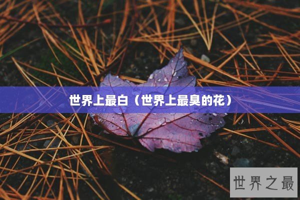 世界上最白（世界上最臭的花）