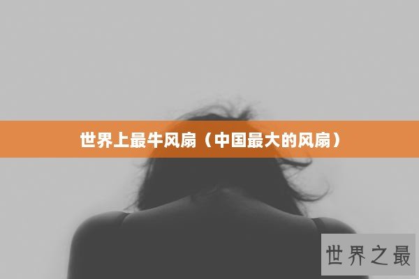 世界上最牛风扇（中国最大的风扇）