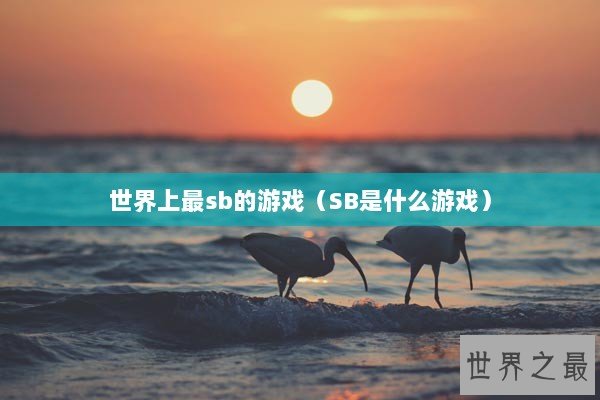 世界上最sb的游戏（SB是什么游戏）