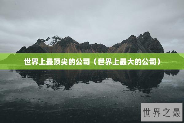 世界上最顶尖的公司（世界上最大的公司）