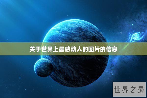 关于世界上最感动人的图片的信息