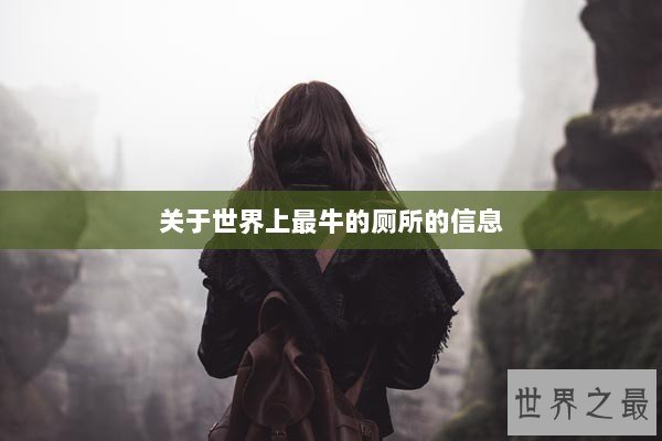 关于世界上最牛的厕所的信息