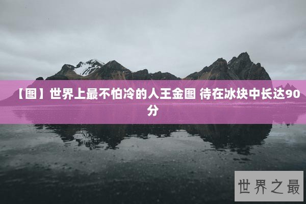 【图】世界上最不怕冷的人王金图 待在冰块中长达90分