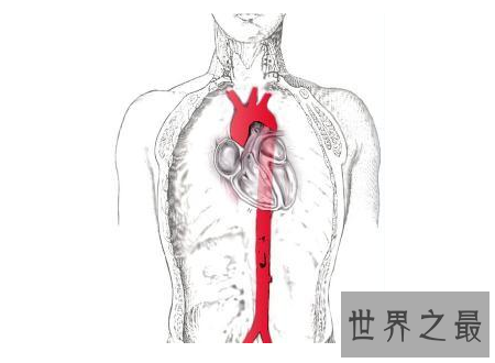 【图】人为什么会死生离死别的背后藏着怎么的故事