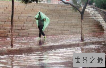 【图】怪雨真的会下那些动物吗 比酸雨还要更可怕吗