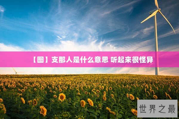 【图】支那人是什么意思 听起来很怪异