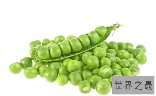 【图】植物大战僵尸大家最常用的豌豆射手的来历