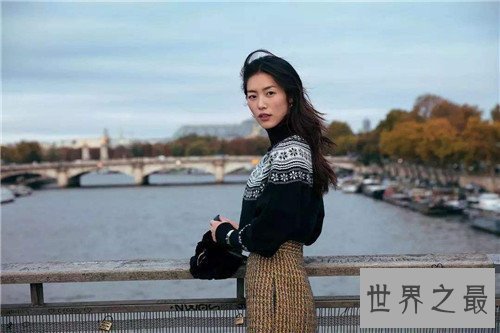 【图】中国最美女人是谁 范冰冰成为文娱圈无可挑剔的