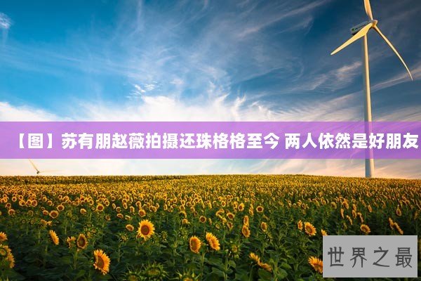 【图】苏有朋赵薇拍摄还珠格格至今 两人依然是好朋友