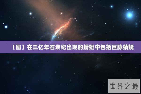 【图】在三亿年石炭纪出现的蜻蜓中包括巨脉蜻蜓