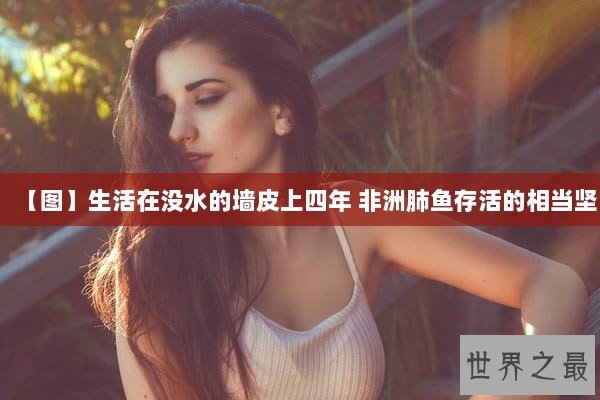 【图】生活在没水的墙皮上四年 非洲肺鱼存活的相当坚