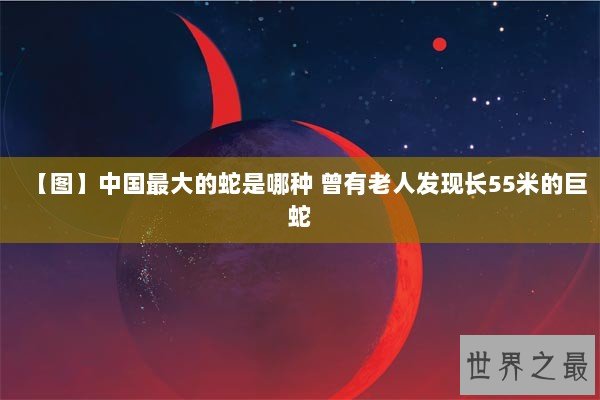 【图】中国最大的蛇是哪种 曾有老人发现长55米的巨蛇