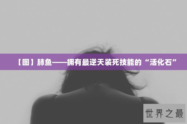 【图】肺鱼——拥有最逆天装死技能的“活化石”