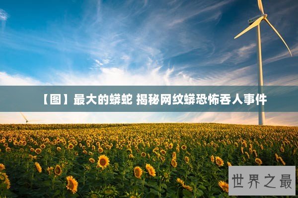 【图】最大的蟒蛇 揭秘网纹蟒恐怖吞人事件