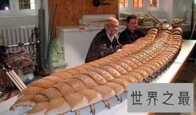 【图】世界上最大蜈蚣 最长竟可达62cm！