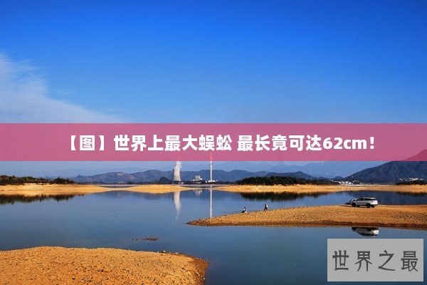 【图】世界上最大蜈蚣 最长竟可达62cm！