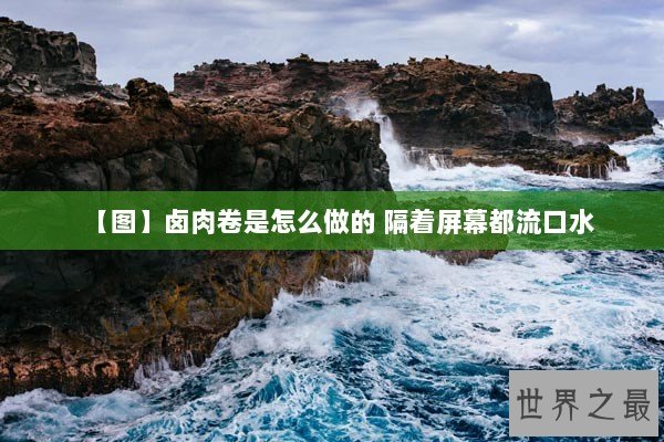 【图】卤肉卷是怎么做的 隔着屏幕都流口水