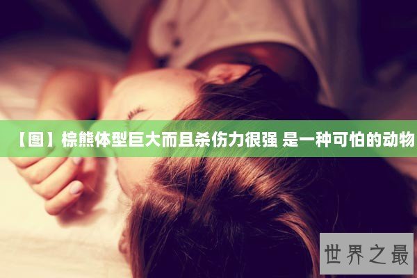 【图】棕熊体型巨大而且杀伤力很强 是一种可怕的动物