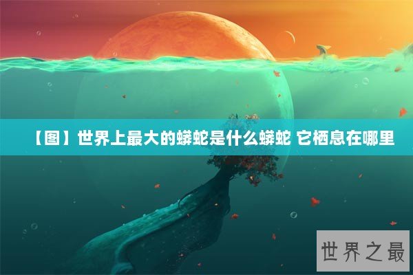 【图】世界上最大的蟒蛇是什么蟒蛇 它栖息在哪里