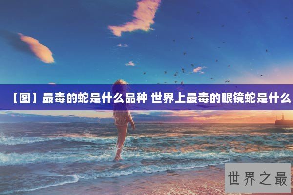 【图】最毒的蛇是什么品种 世界上最毒的眼镜蛇是什么