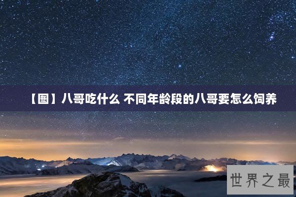 【图】八哥吃什么 不同年龄段的八哥要怎么饲养