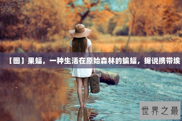 【图】果蝠，一种生活在原始森林的蝙蝠，据说携带埃