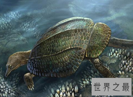 【图】龟龙生存在悠远现代的灭绝生物是玄武前身