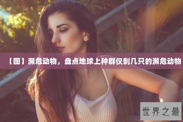 【图】濒危动物，盘点地球上种群仅剩几只的濒危动物