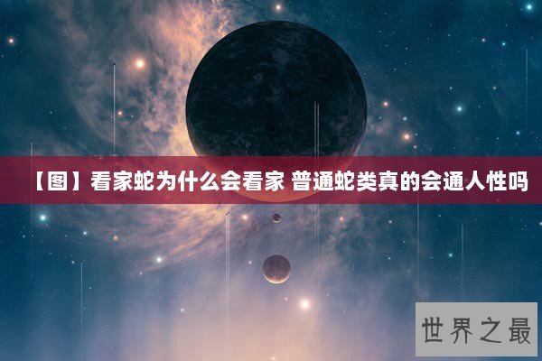 【图】看家蛇为什么会看家 普通蛇类真的会通人性吗