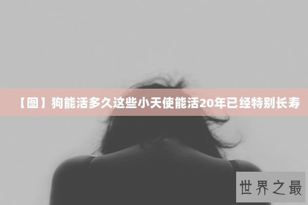 【图】狗能活多久这些小天使能活20年已经特别长寿