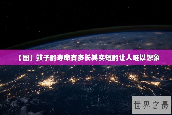 【图】蚊子的寿命有多长其实短的让人难以想象