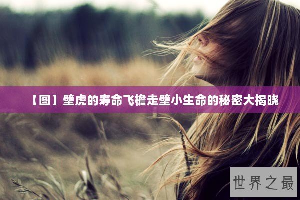 【图】壁虎的寿命飞檐走壁小生命的秘密大揭晓