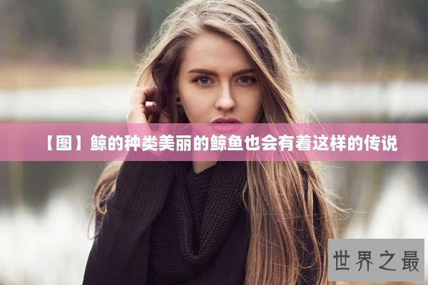 【图】鲸的种类美丽的鲸鱼也会有着这样的传说