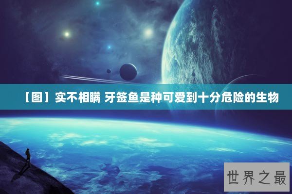 【图】实不相瞒 牙签鱼是种可爱到十分危险的生物