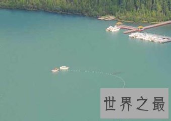 【图】大型哲罗鲑 表面俊俏 曾被误以为是水怪