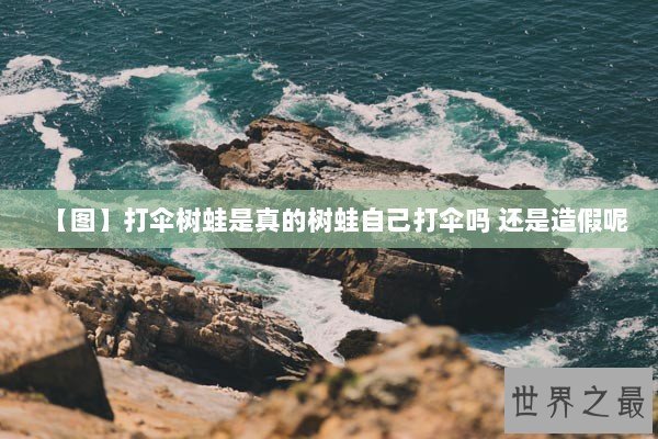 【图】打伞树蛙是真的树蛙自己打伞吗 还是造假呢