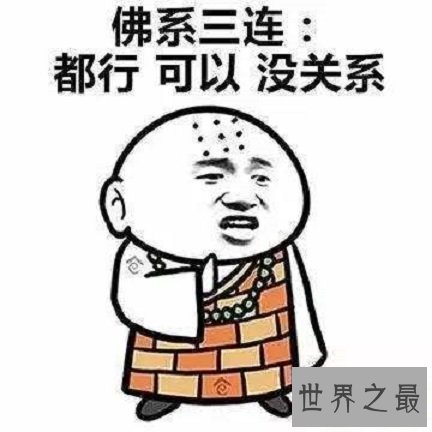 【图】2017年年度新词新语，哪个是你的最爱？