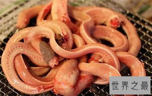 【图】刺螠的食用价值引见 千颂伊归纳刺螠搭配烧酒