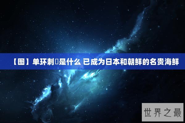 【图】单环刺螠是什么 已成为日本和朝鲜的名贵海鲜