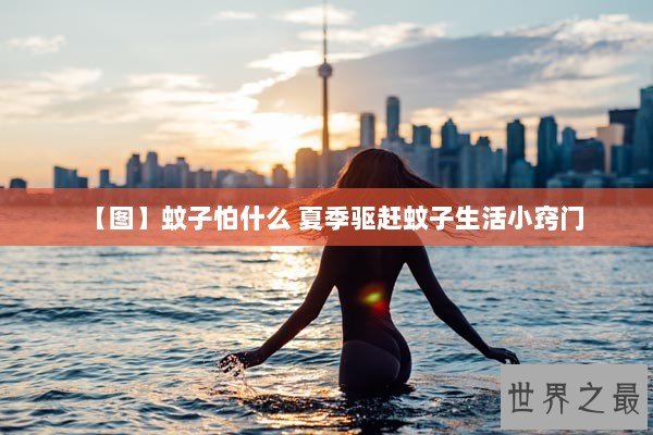 【图】蚊子怕什么 夏季驱赶蚊子生活小窍门