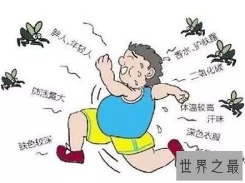 【图】蚊子青睐叮咬什么血型的人 蚊子为什么会叮咬人