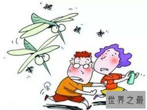 【图】蚊子青睐叮咬什么血型的人 蚊子为什么会叮咬人