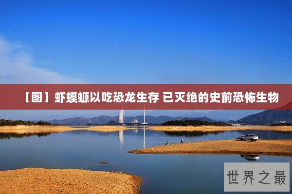 【图】虾蟆螈以吃恐龙生存 已灭绝的史前恐怖生物