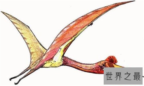 【图】虾蟆螈以吃恐龙生活 已灭绝的史前恐惧生物