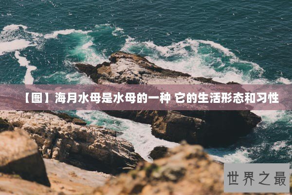 【图】海月水母是水母的一种 它的生活形态和习性