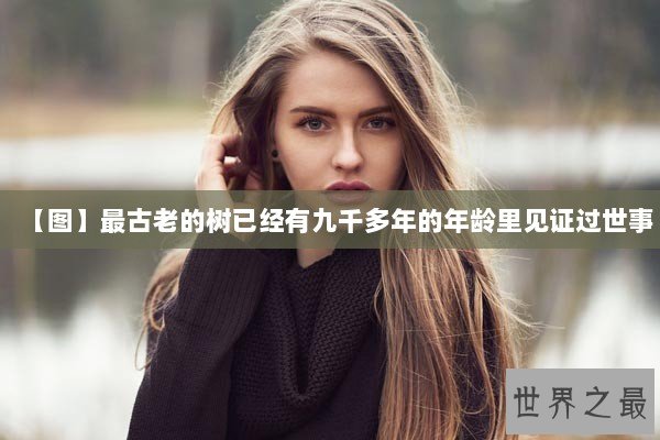 【图】最古老的树已经有九千多年的年龄里见证过世事