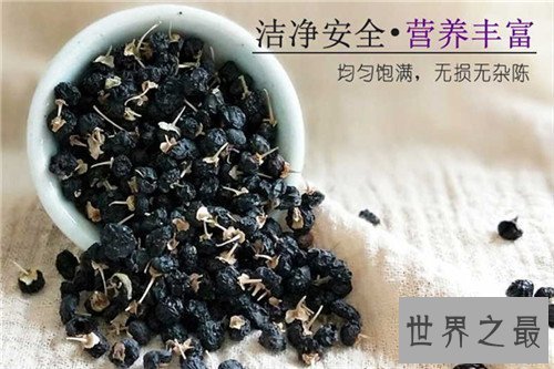 【图】家养黑枸杞的效用与作用 怎么泡水具备营养价值