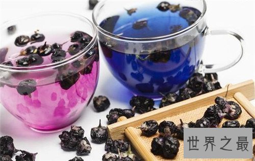 【图】家养黑枸杞的效用与作用 怎么泡水具备营养价值