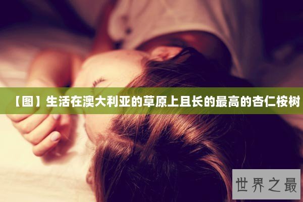 【图】生活在澳大利亚的草原上且长的最高的杏仁桉树