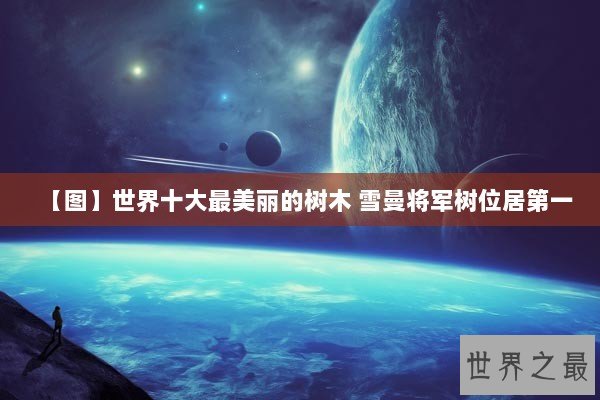 【图】世界十大最美丽的树木 雪曼将军树位居第一